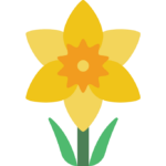daffodil emoji courtesy of flaticon.com